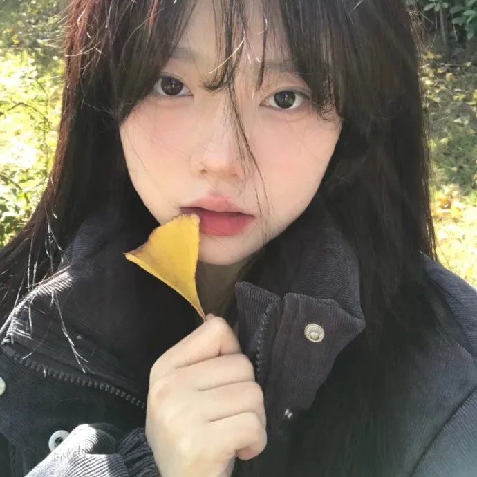 东京二十三区女